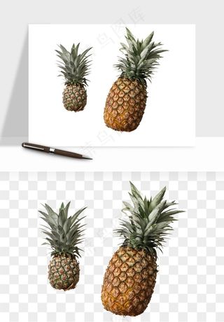 菠萝水果png免抠