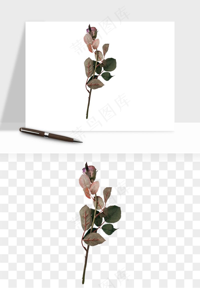 复古鲜花玫瑰png免抠