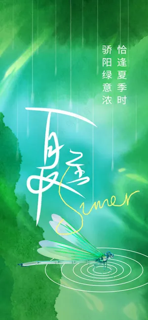 夏至节气传统活动海报