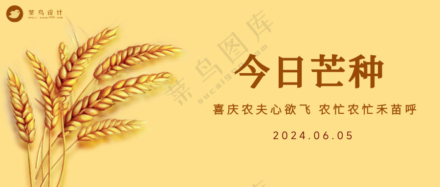 芒种公众号首图