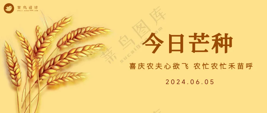 芒种公众号首图