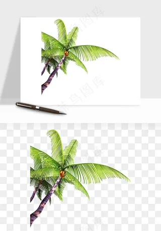 卡通沙滩椰子树png免抠