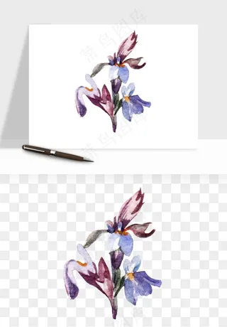 水彩复古植物花卉png免抠