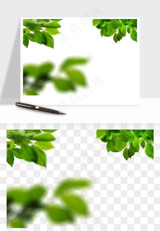 绿叶虚化前景树枝png免抠