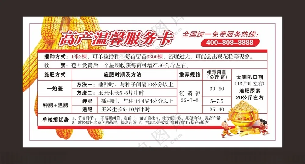 服务卡服务卡片玉米棒