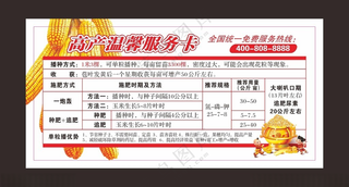 服务卡服务卡片玉米棒