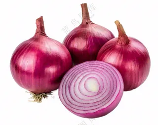 红洋葱蔬菜免抠