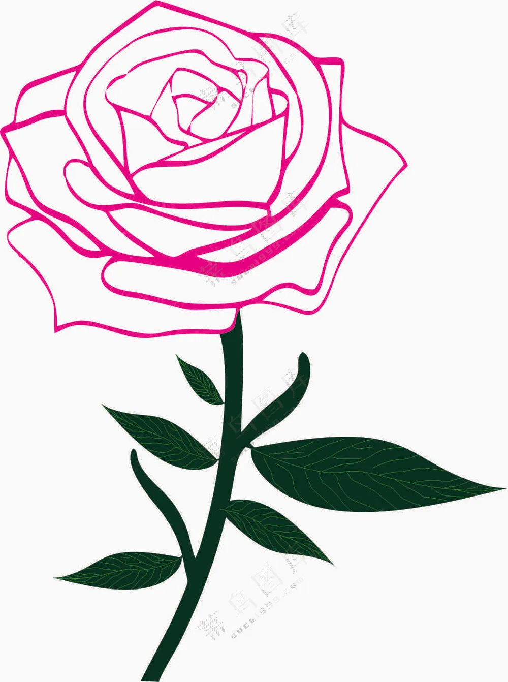 玫瑰矢量图