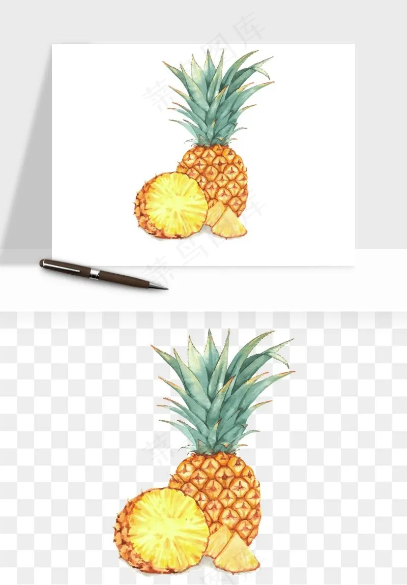 菠萝水果png免抠
