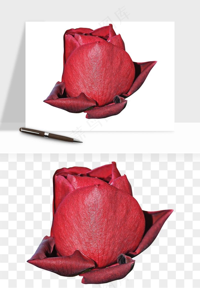 复古鲜花玫瑰png免抠