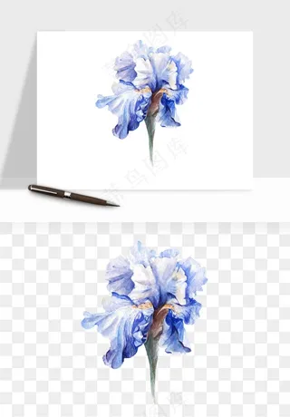 水彩复古植物花卉png免抠