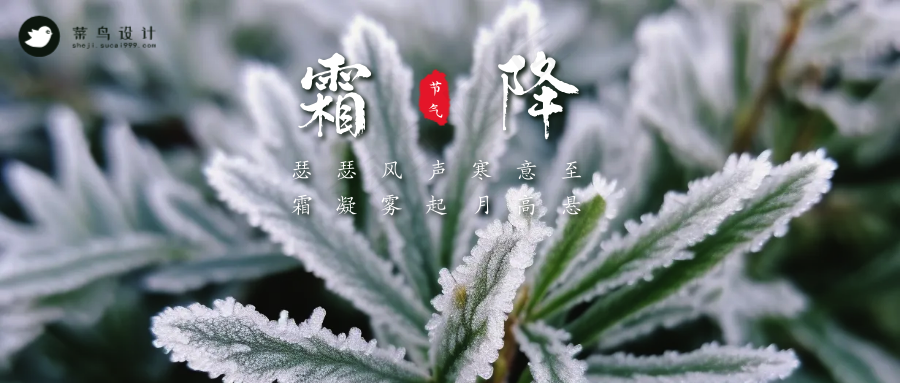 霜降公众号首图