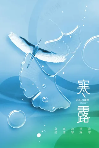 寒露节气传统活动宣传海报