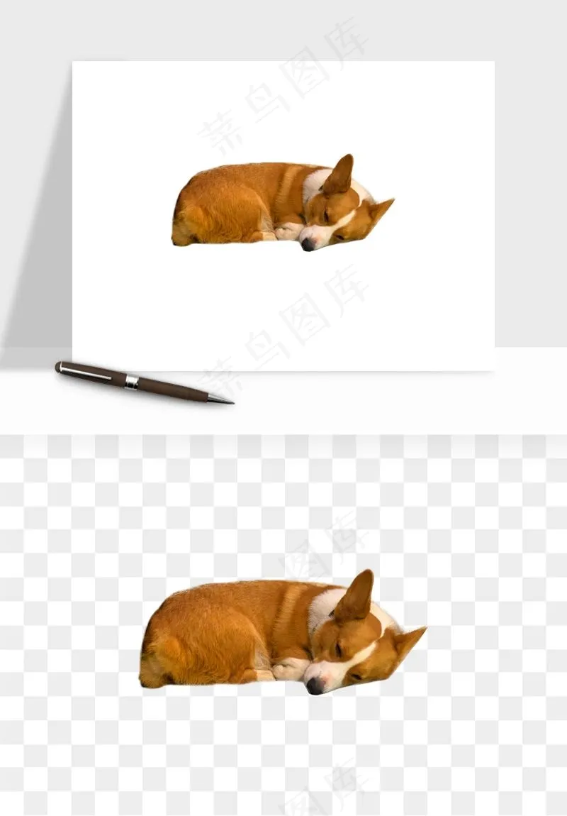 猫咪喵星人狗狗宠物元素png免抠