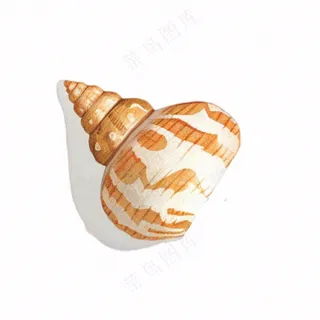 海洋贝壳海螺生物卡通插画免抠