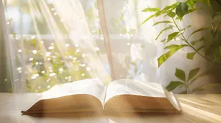阳光下翻开的书本知识阅读世界读书日摄影图