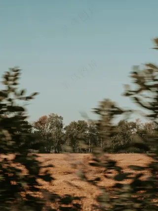 金色田野的朦胧诗意