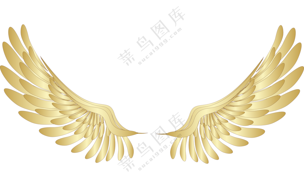 金色质感效果双翼翅膀免抠图片素材
