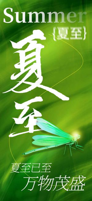 夏至节气传统活动海报