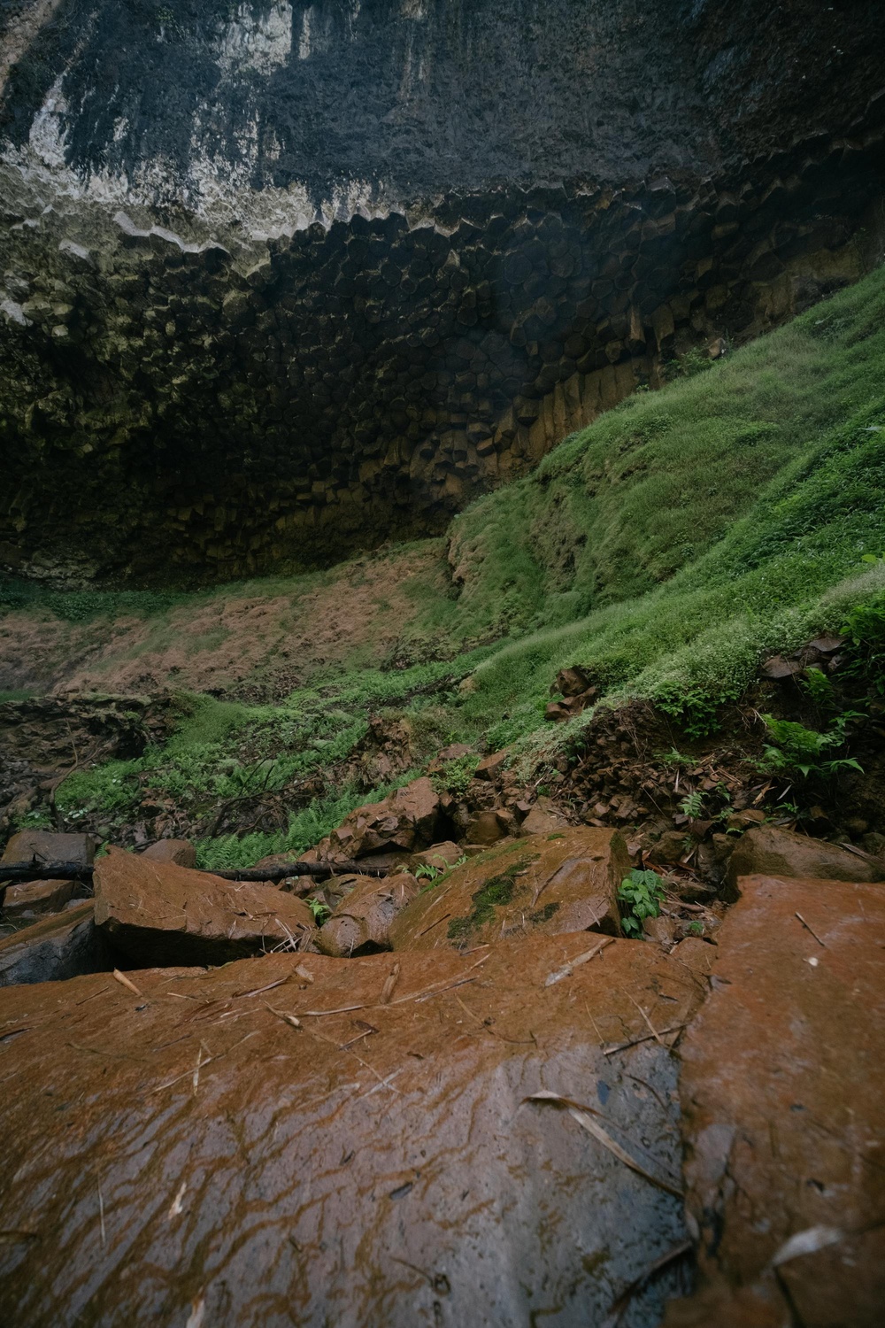 苔藓古洞秘境图