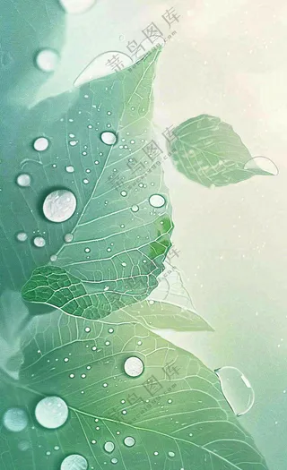白露节气
