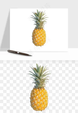 菠萝水果png免抠