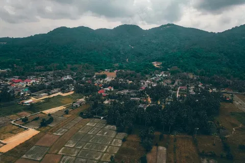 绿意盎然的山村田园风光