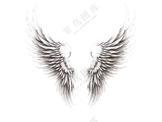 一对灰色翅膀