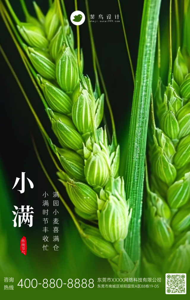 小满手机海报