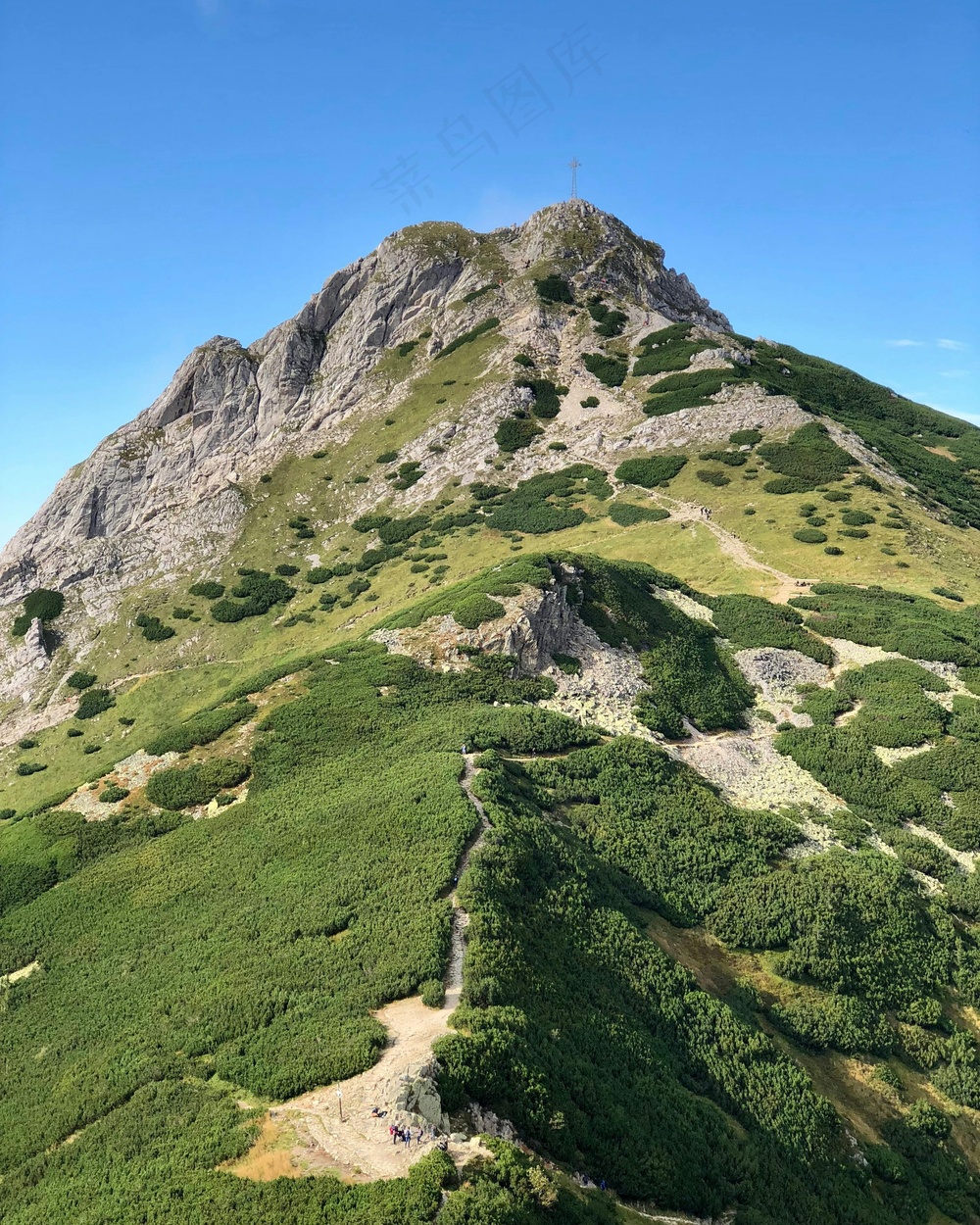 翠峰之巅：写实风格自然风景摄影
