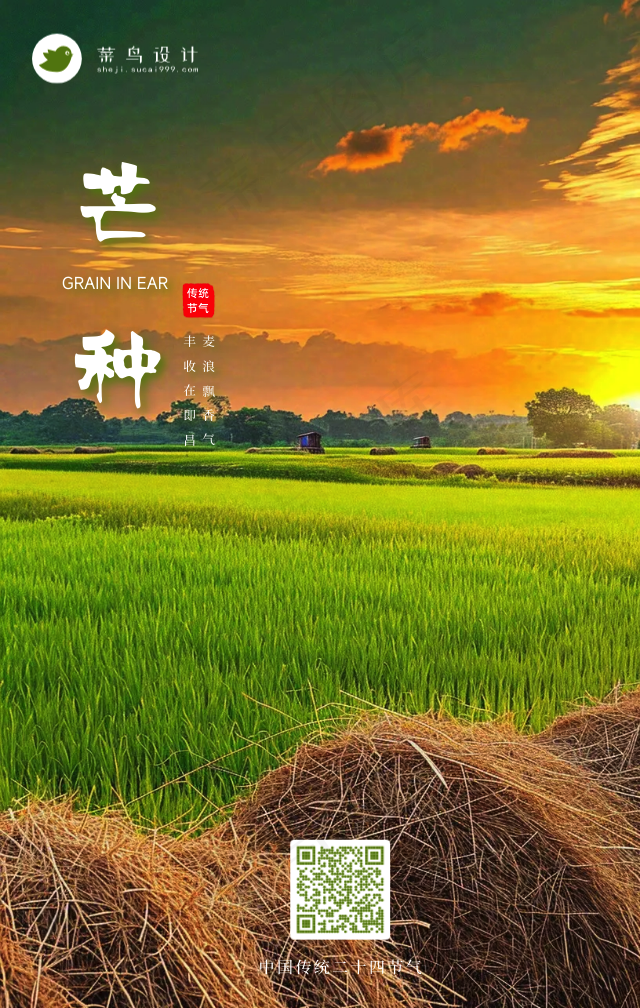芒种手机海报