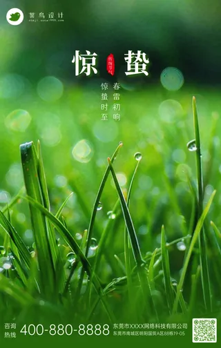 惊蛰手机海报