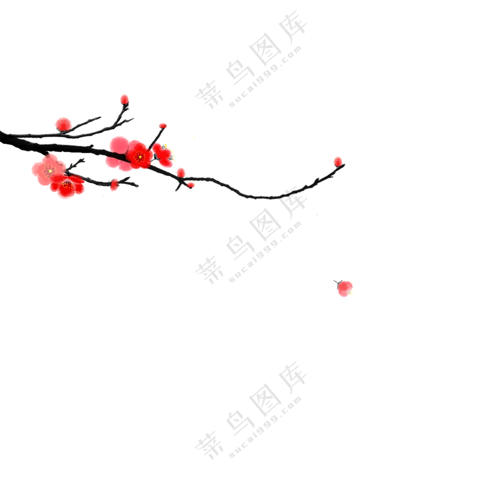 冬日里格外红艳的梅花绘画免抠图片