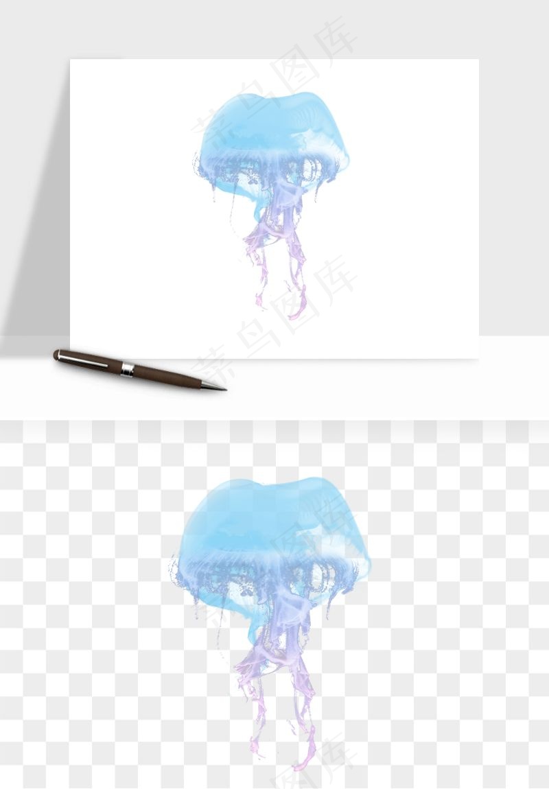 水母章鱼海底生物png免抠图
