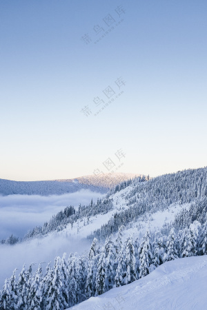 天空下覆盖着雪的丘陵树木