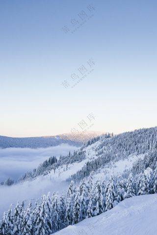 天空下覆盖着雪的丘陵树木