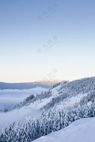 天空下覆盖着雪的丘陵树木