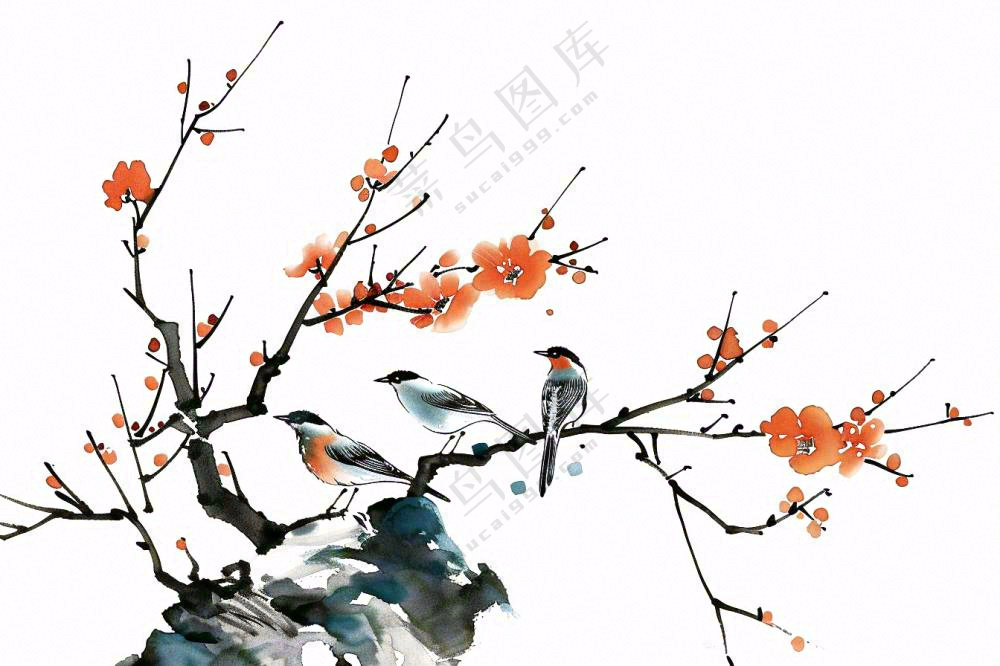 水墨画崖壁上的梅花小鸟古典风山水插画免抠