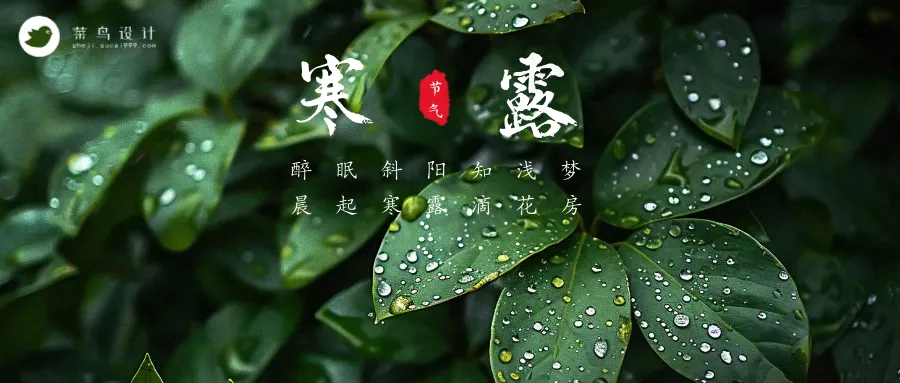 寒露公众号首图