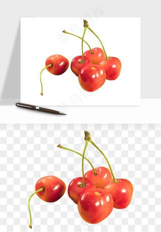 樱桃车厘子水果png免抠