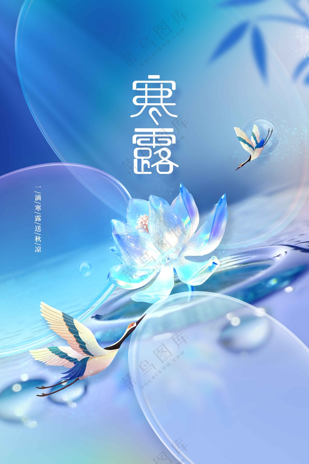 插画寒露节气活动海报