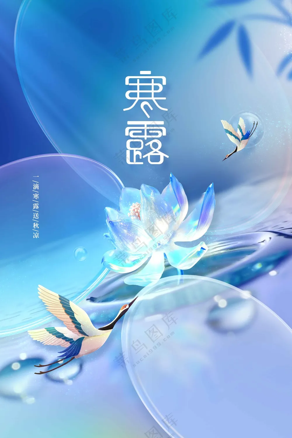 插画寒露节气活动海报