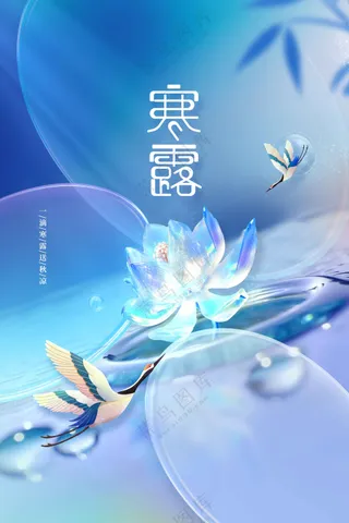 插画寒露节气活动海报
