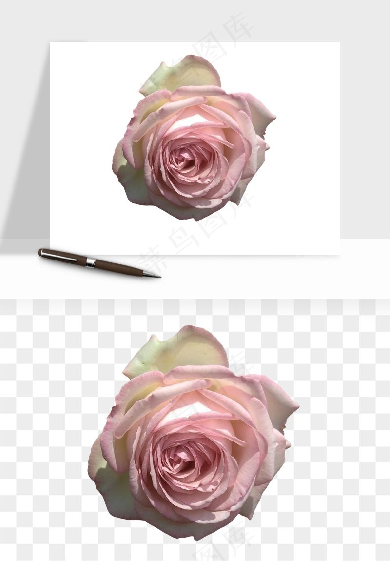 复古鲜花玫瑰png免抠
