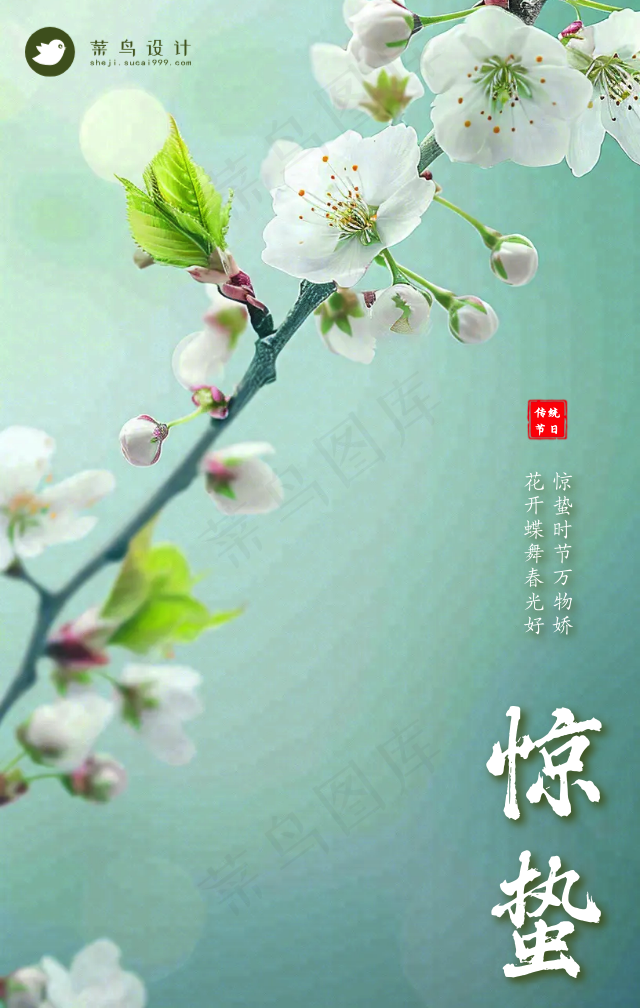 惊蛰手机海报