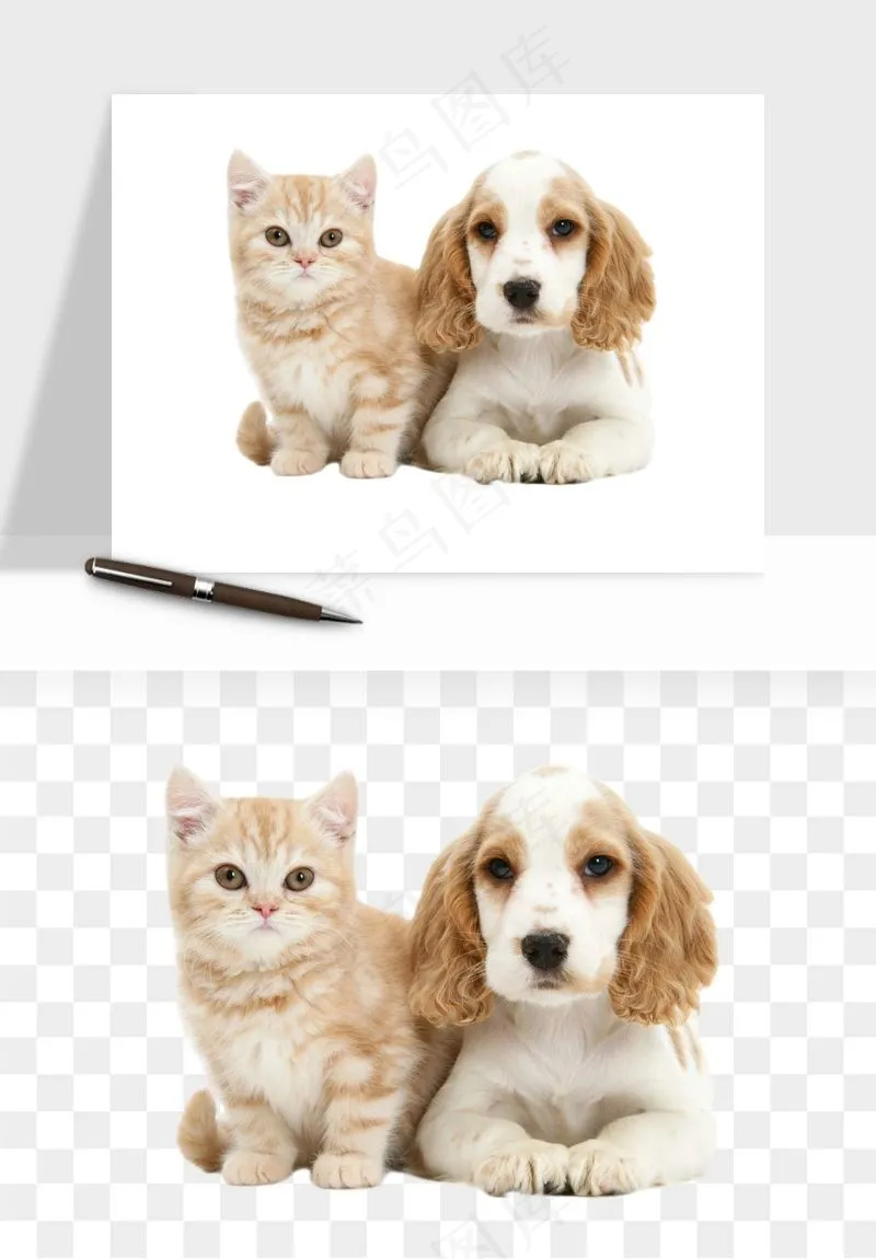 猫咪喵星人狗狗宠物元素png免抠