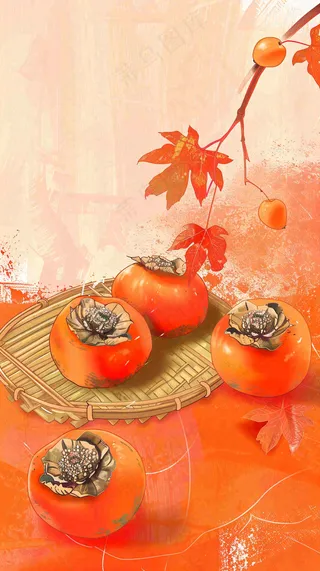 成熟的柿子水果红色背景插画霜降背景
