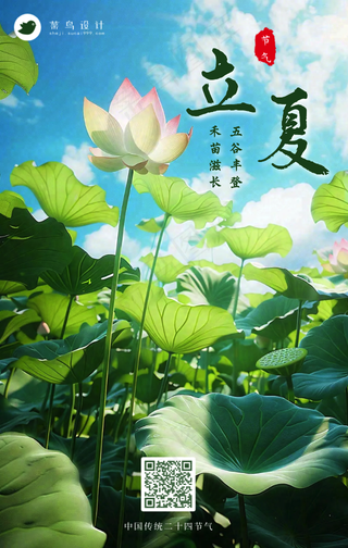 立夏手机海报