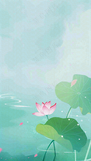 夏天荷花荷叶清凉小清新淡雅立夏夏至暑插画背景