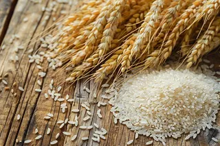 世界粮食日谷物米饭稻谷小麦摄影图